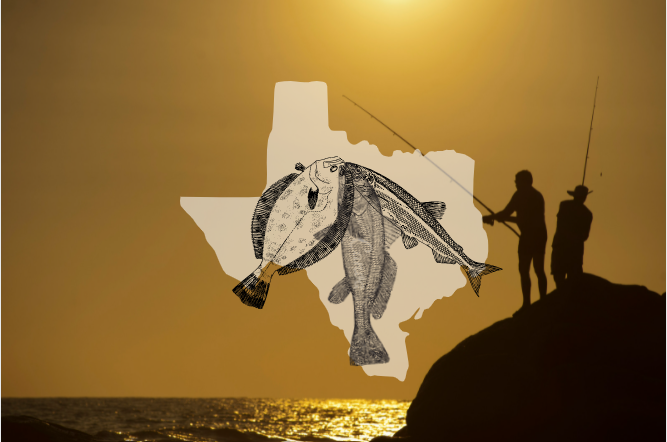 Texas Coast Fishing